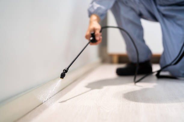 Professional exterminator conducting IPM assessment in East Berwick